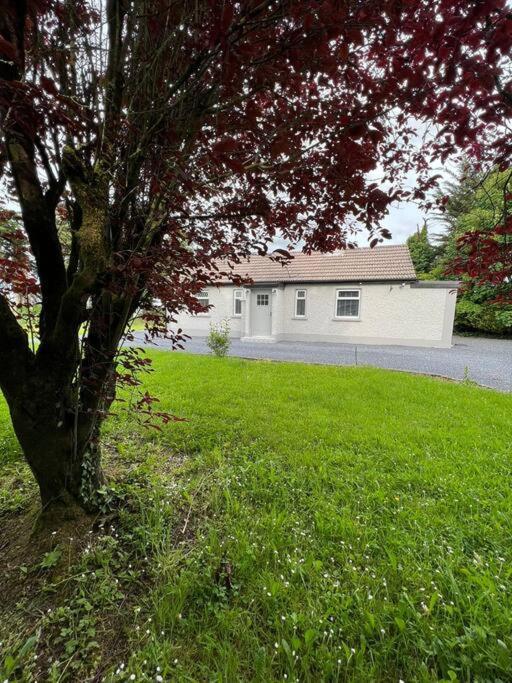 Ballybur Cottage Kilkenny Esterno foto